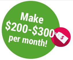 Make $200 - $300 per month